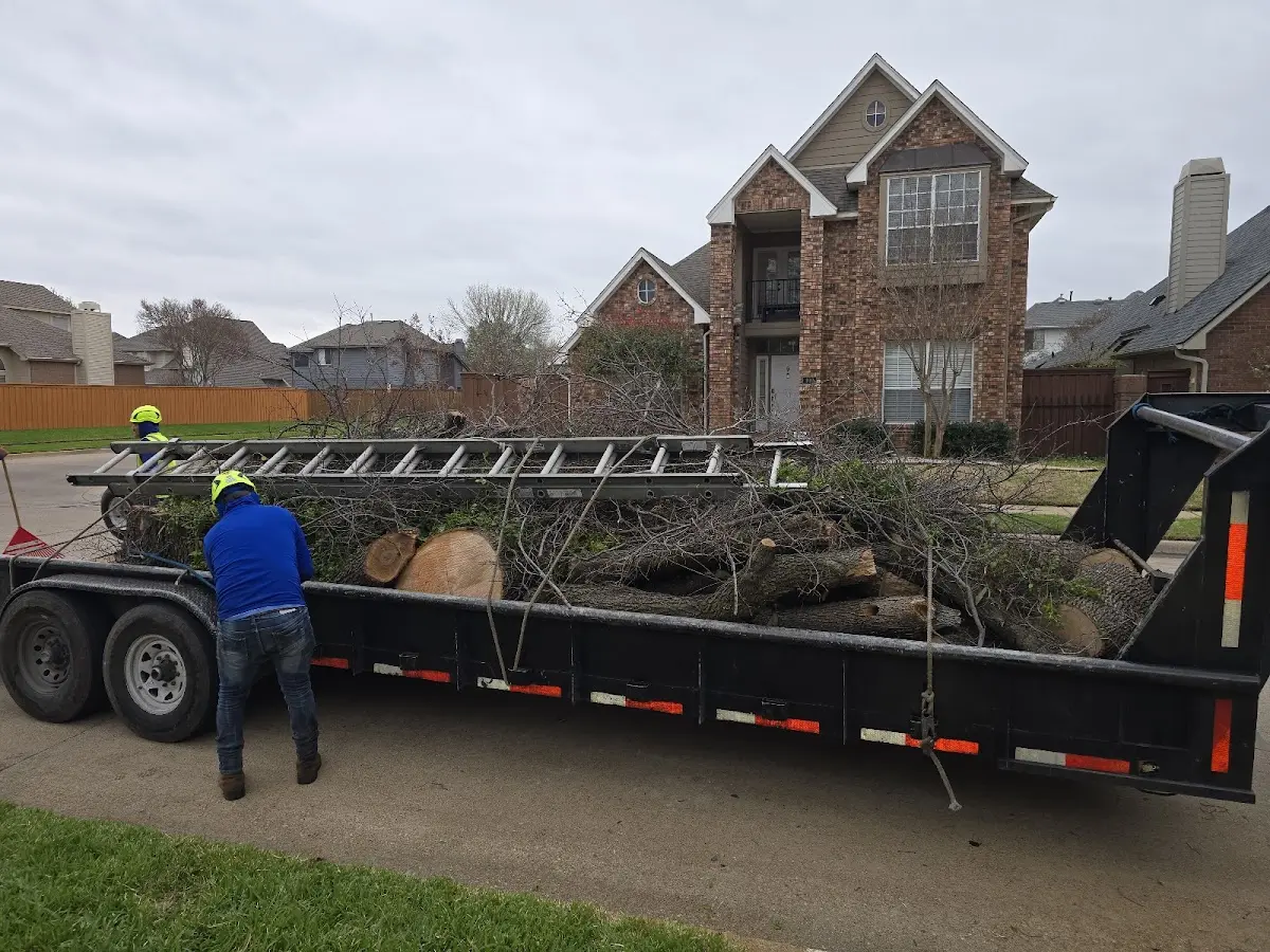 Expert Tree Fertilization with proper safety equipment in Colome